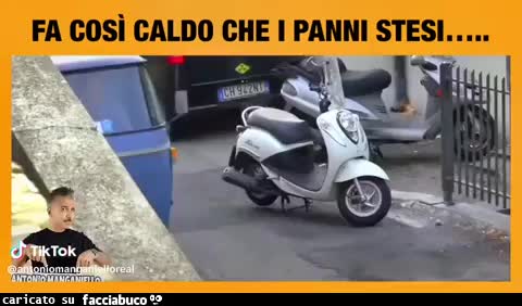Gif Animata