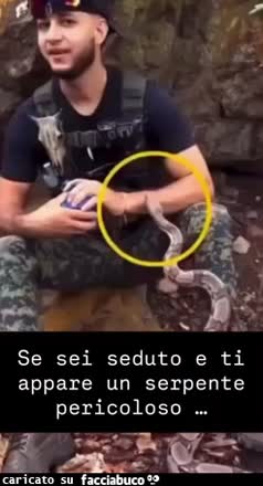 Gif Animata