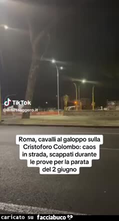 Gif Animata