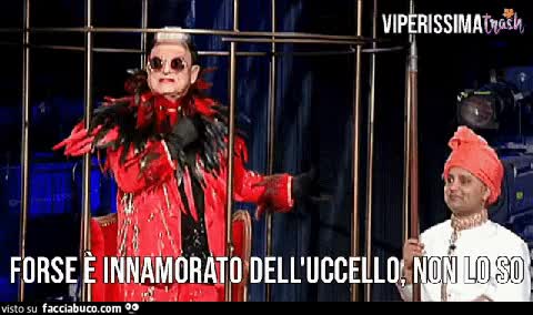 gif animata