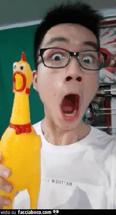 gif animata