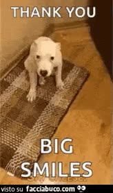 gif animata