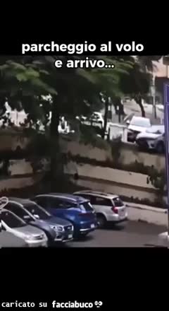 Gif Animata