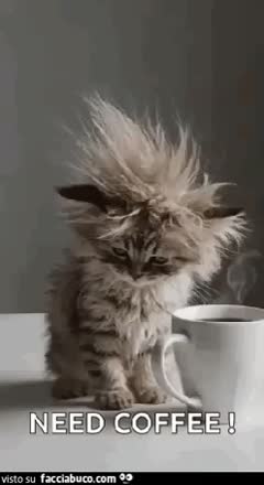 gif animata