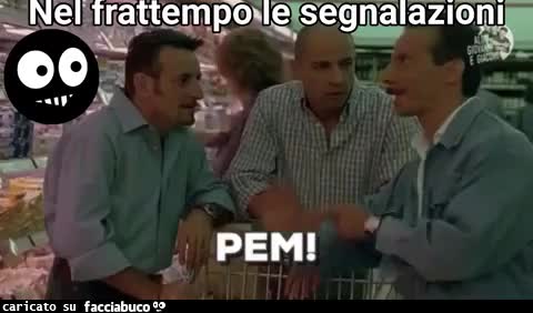 Segnala stocazzo