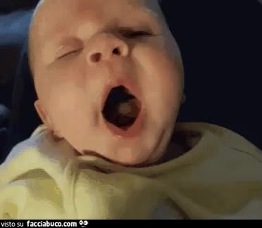 gif animata
