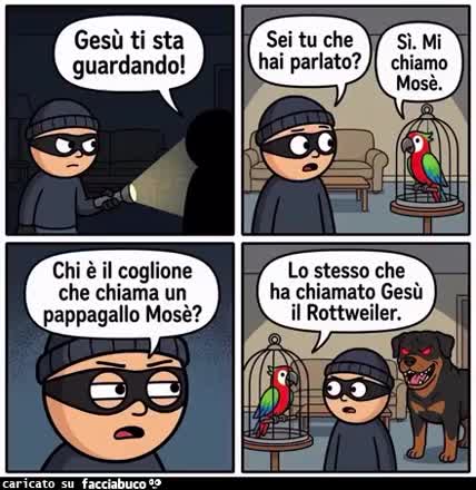 Gif Animata