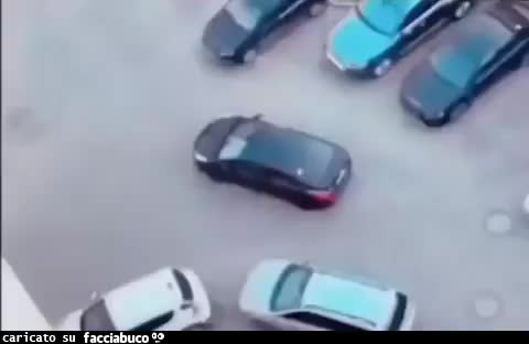 Gif Animata