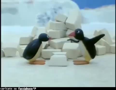 gif animata
