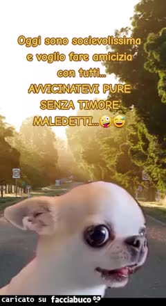 Gif Animata