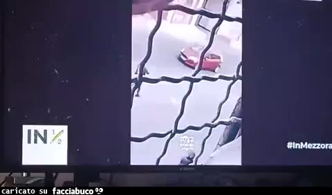 Gif Animata