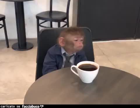 Gif Animata