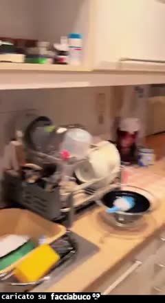 Gif Animata