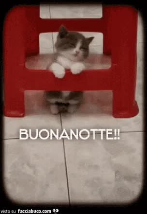 gif animata