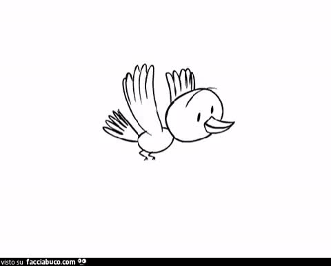 gif animata