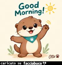 gif animata