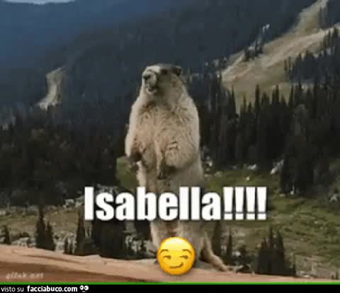 gif animata