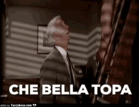 gif animata