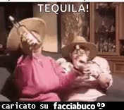 gif animata