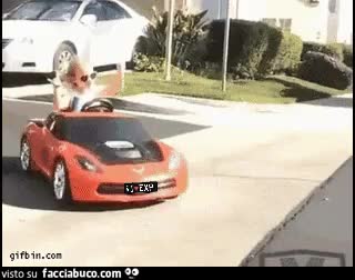 gif animata