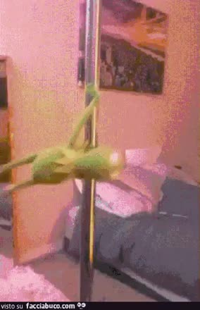 gif animata
