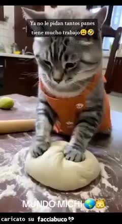 gif animata