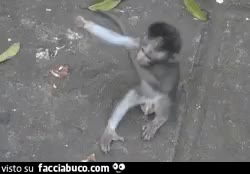 gif animata