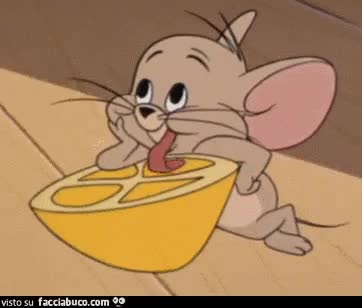 gif animata