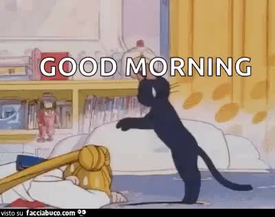 gif animata