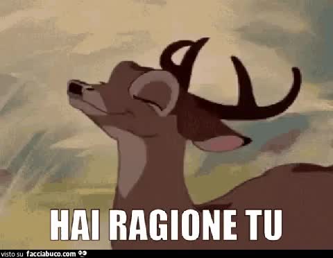 gif animata
