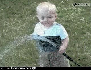 gif animata