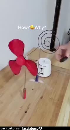 Gif Animata