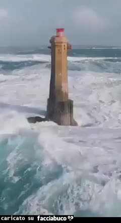 Gif Animata