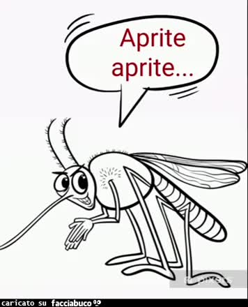 gif animata