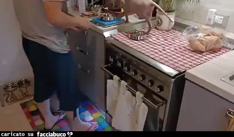Gif Animata