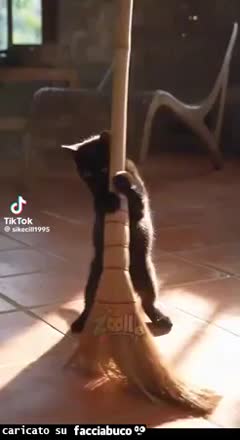 Gif Animata