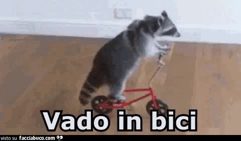 gif animata