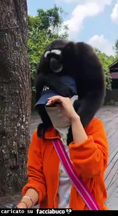 Gif Animata
