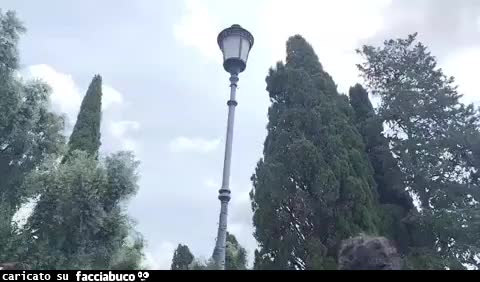 Gif Animata