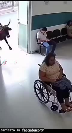 Gif Animata