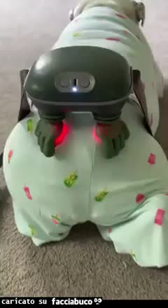 Gif Animata