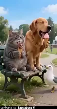 Gif Animata