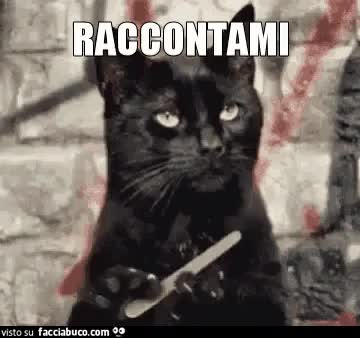 gif animata
