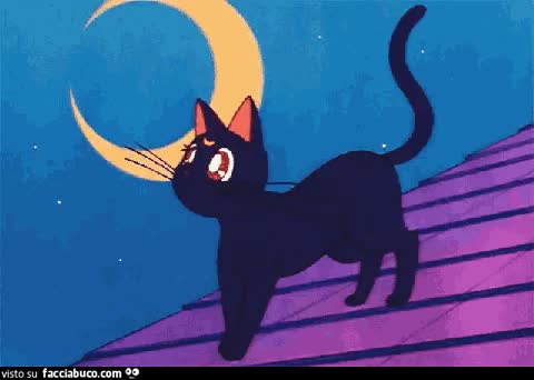 gif animata