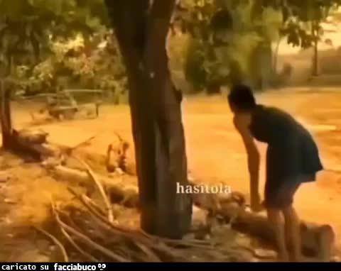 Gif Animata