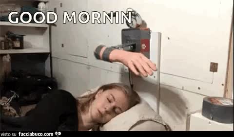 gif animata