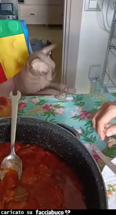 Gif Animata