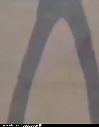 Gif Animata