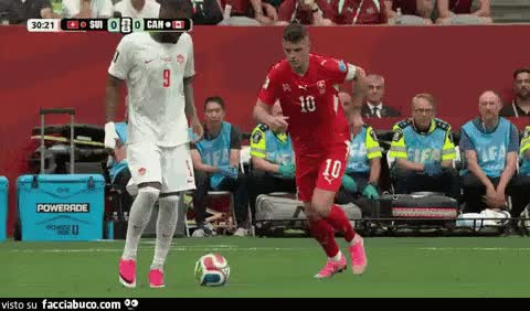 gif animata