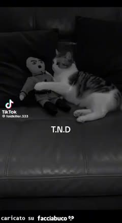gif animata